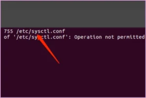 ubuntu 修改文件提示错误 Operation not permitted