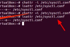 ubuntu 修改文件提示错误 Operation not permitted