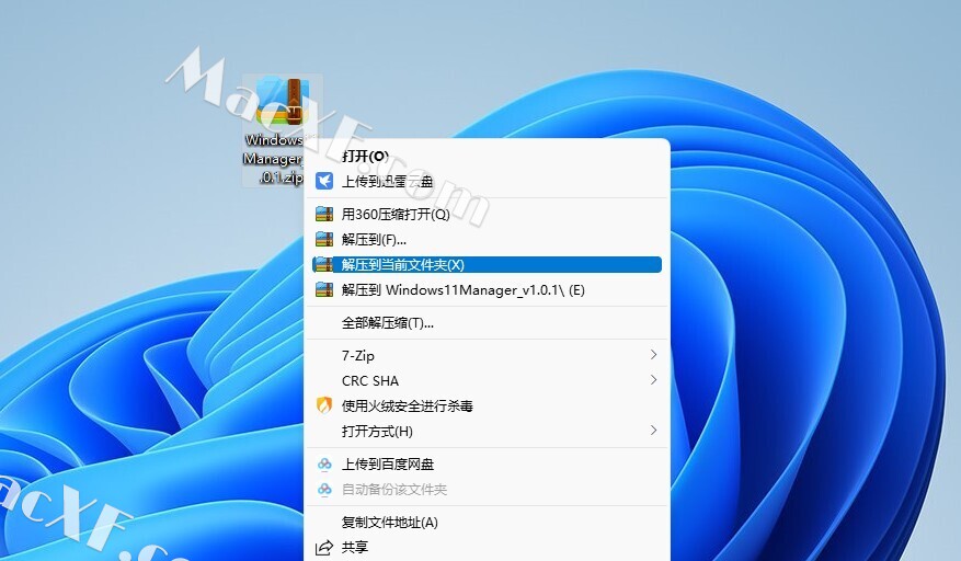 Windows 11 Manager(Win11系统优化工具)