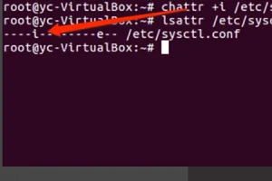 ubuntu 修改文件提示错误 Operation not permitted