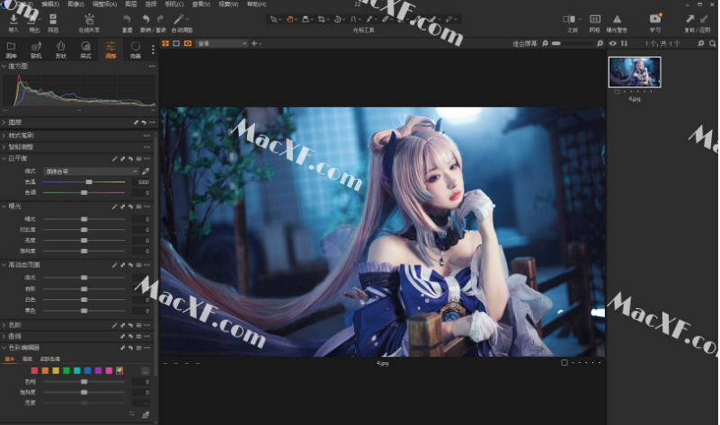 Capture One 23 Pro(图片编辑软件)v16.2.3.1471 便携专业版